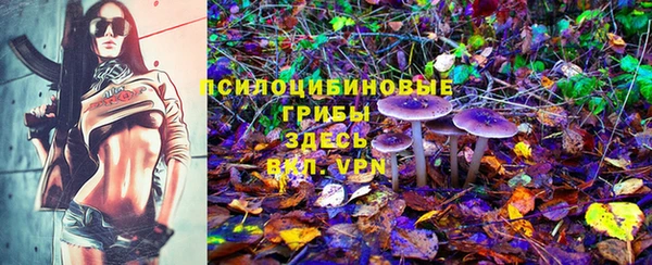 молекула духа Алзамай
