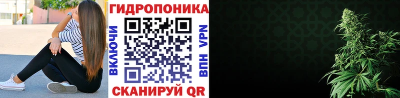 Бошки Шишки Amnesia Шенкурск